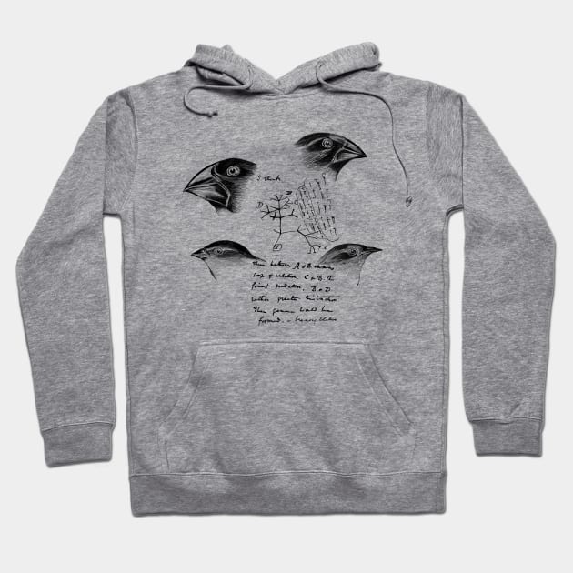 Darwin’s Finches Hoodie by hereticwear